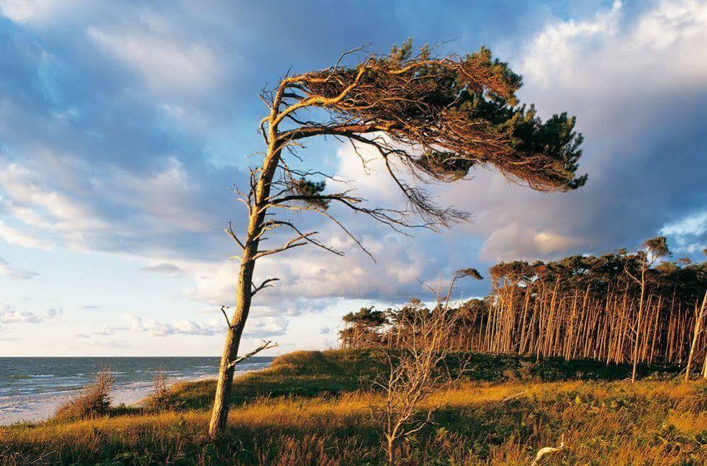 Ferienwohnungen Duenenmeer Dierhagen Exterior foto